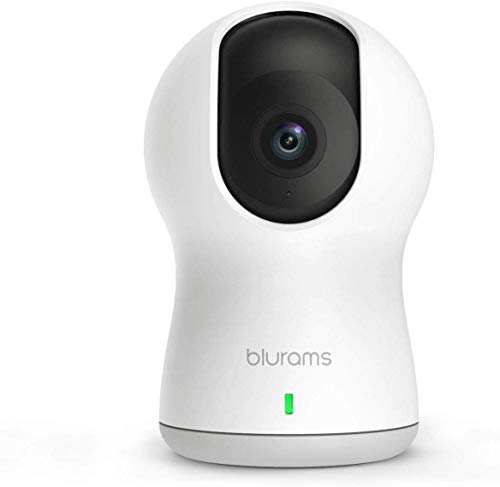 Blurams Dome Pro 1080p Security Camera Facial Recognition Human/sound Detection