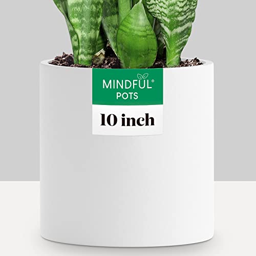 Mindful Pots 6 inch Plant Pot for Indoor Plants, Durable & Sturdy Fiberstone Ceramic Large Planter