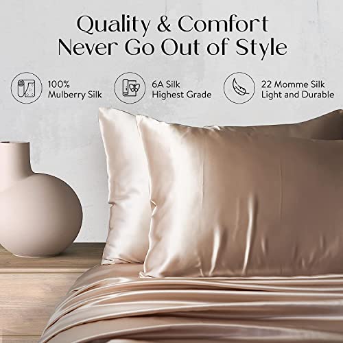 Colorado Home Co Pack Queen Size Pillow Cases Set of 2