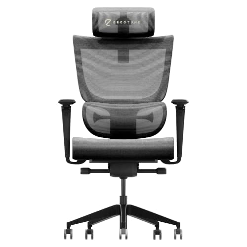 ErgoTune Supreme Ergonomic Office Chair High Breathable Charcoal Black Small