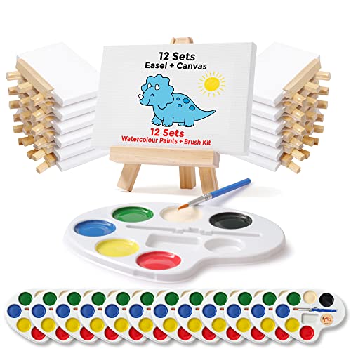 Set of 12 Mini Canvases 4x6 and Easel Set with Water Colors Paint Kids Paint Set