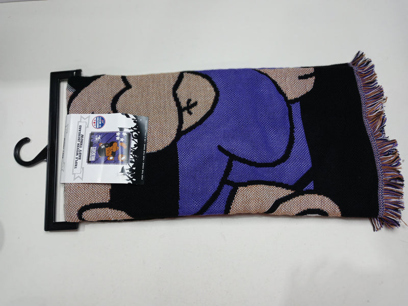 Northwestern Wildcats Baby Throw Blanket 36" x 46" Acrylic