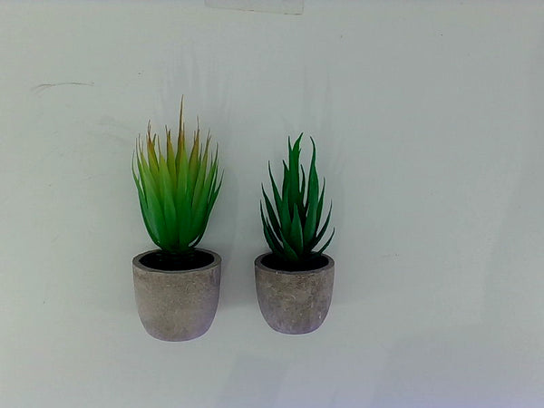 Set of 2 Artificial Aloe Plants in Stone Pots