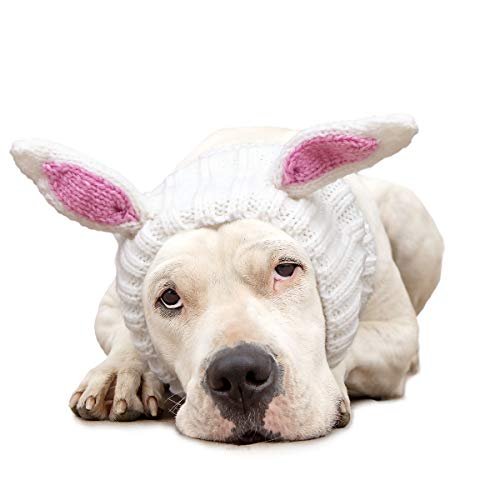 Zoo Snoods Bunny Dog Costume No Flap Ear Wrap Hood for Pets Large