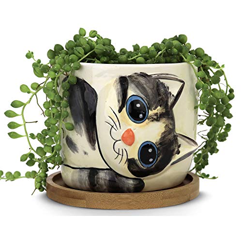 Window Garden Cat Planter Large Kitty Pot For Indoor House Plants Succulents