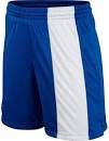 Nike Men's Striker Soccer Shorts - Large