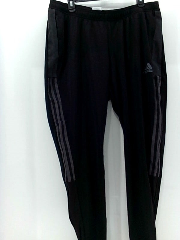 Adidas Women's Tiro 21 Track Pants 1x Black/Dark Grey Color Black/Dark Grey Size 1x