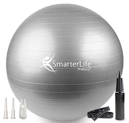 Exercise Ball for Yoga Balance Stability Silver