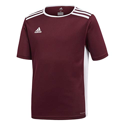 Youth Maroon Adidas Entrada 18 Jersey - X-Small