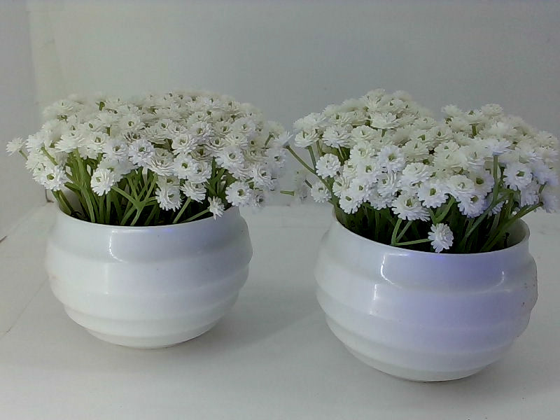 Artificial Baby Breath Flowers in White Ceramic Pots Set of 2