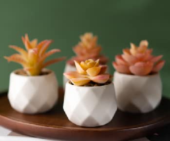 Artificial Succulent Plants in White Ceramic Pots for Desk Office Living Orange