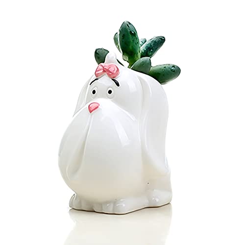Generic, Dog Planter Succulent, Dog Pots for Plants, Succulent Dog Planter, Animal Planter Pot, Succulent Pots with Drainage White