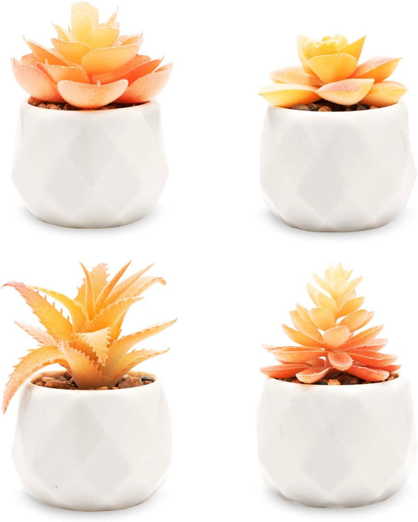 Viverie Mini 4pc Artificial Succulent Plants in White Ceramic Pots Orange 4pc