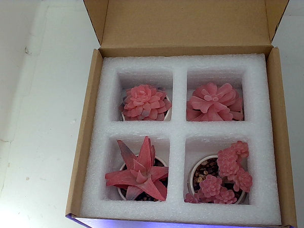 Pink Artificial Succulent Set - 4 Pieces for Home Decor