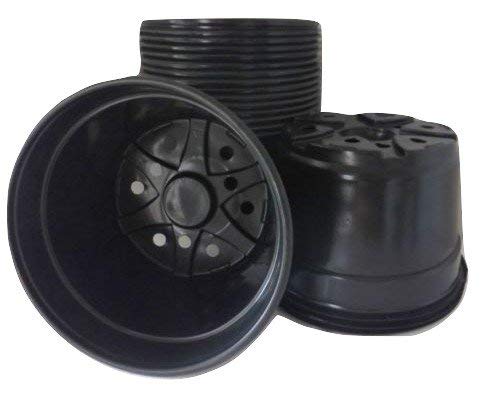 8-Inch Black Plastic Mum Nursery Pots, Pack of 25