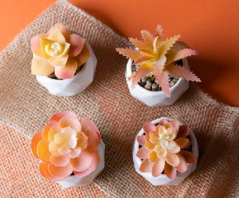 Artificial Succulent Plants in White Ceramic Pots for Desk Office Living Orange