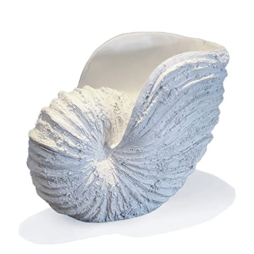 Huey House Nautilus Shell Sculpture Color Off White Size 10.5x5.9x7.87''