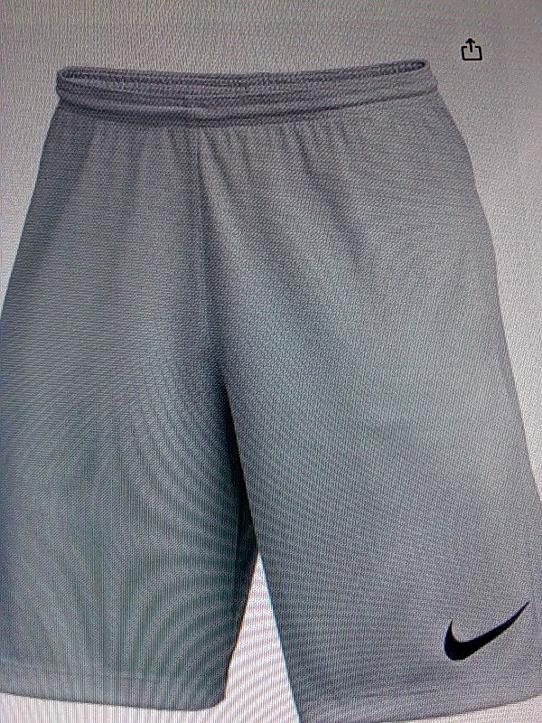 Nike Mens Dry Park Short Regular Active Shorts Color Light Grey Size XXLarge