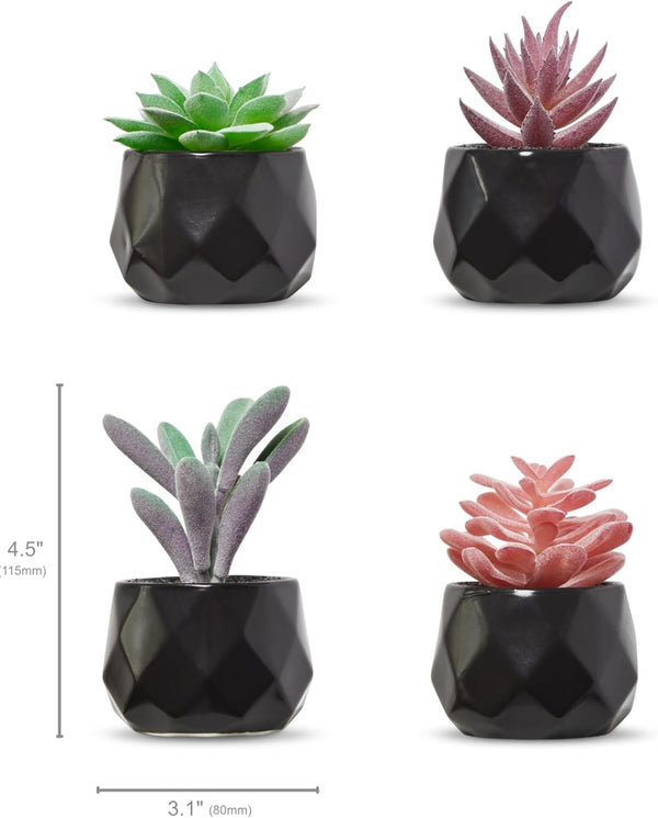 Nordik Miniature Artificial Succulent Set of Four Black Pots for Bathroom