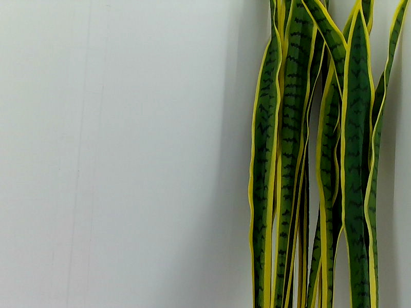 Velener Artificial Green Snake Plant Decoration