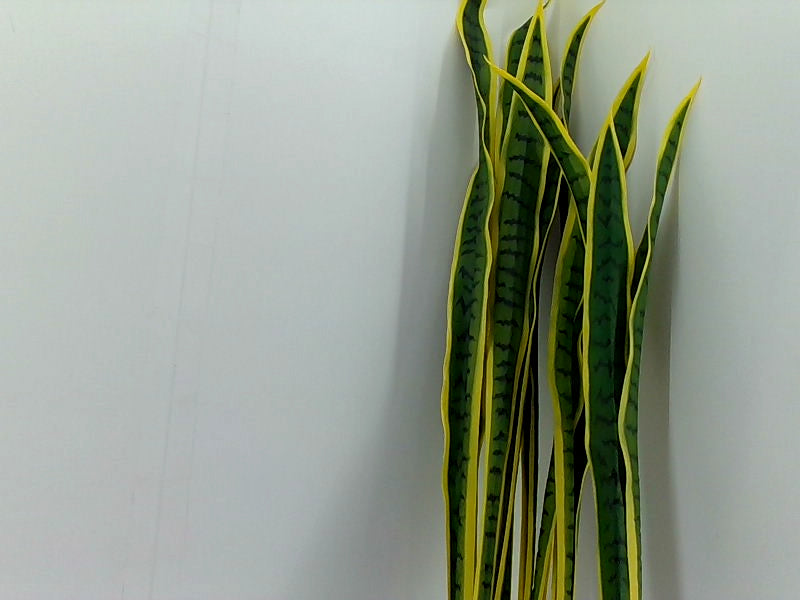 Velener Artificial Green Snake Plant Decoration