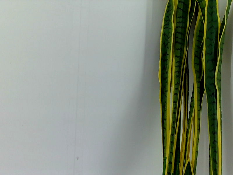 Velener Artificial Green Snake Plant Decoration