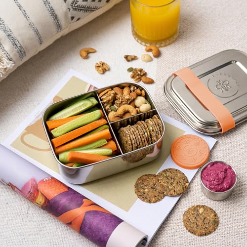 Everusely Stainless Steel Toddler Bento Box Small Metal Lunch Box for Kids