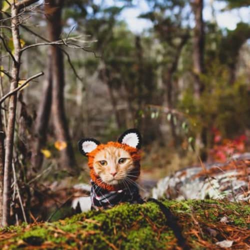Fox Halloween Costume for Dogs Ears for Winters Halloween