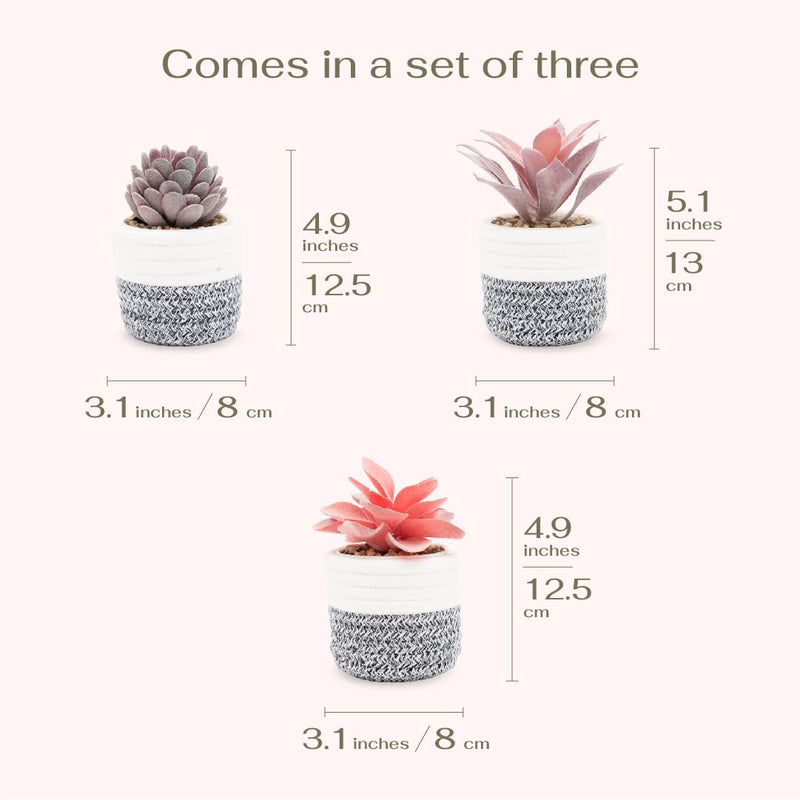 Viverie 3pcs Fake Succulent Plants in Boho Rope Basket Home Decor Indoor