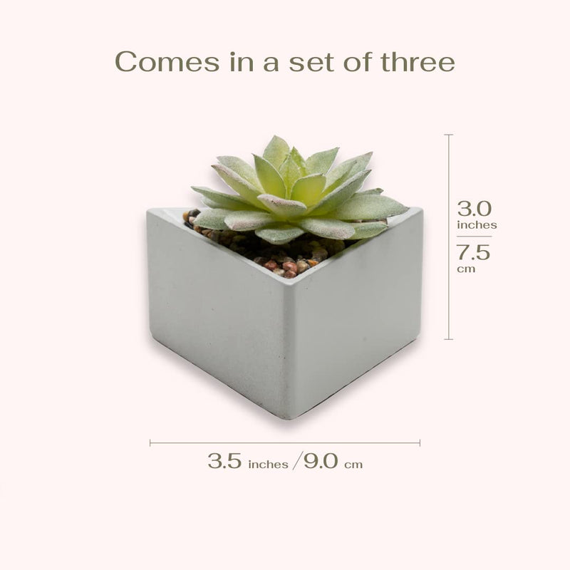 Mini Faux Succulent Plants in Grey Pots - Set of 3 for Home Decor