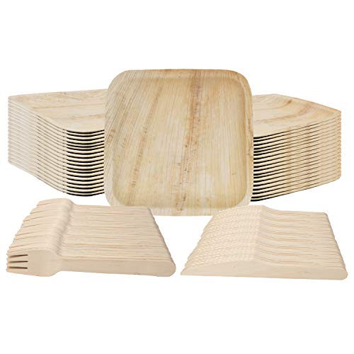 Biodegradable Plates Forks and Knives Eco Friend