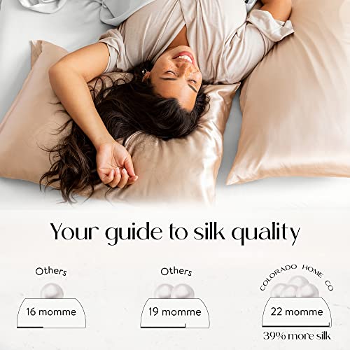 King Size Mulberry Silk White Pillowcase for Hair and Skin - 22 Momme, 100% Natural Silk Pillowcase with Hidden Zipper - Anti Aging, Anti Acne Dual Sided 1 Pack