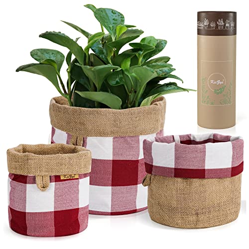 Woven Plant Basket Indoor Garden – 5 6 8 Inch Planter Red Reversible - Set of 3 Small House Plant Pot Holder Indoor Gardening Gifts for Women Plant Pot Cover