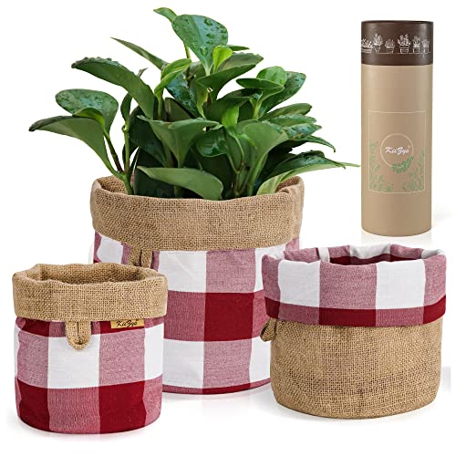 Woven Plant Basket Indoor Garden 5 6 8 Inch Planter Women Plant Pot Cover