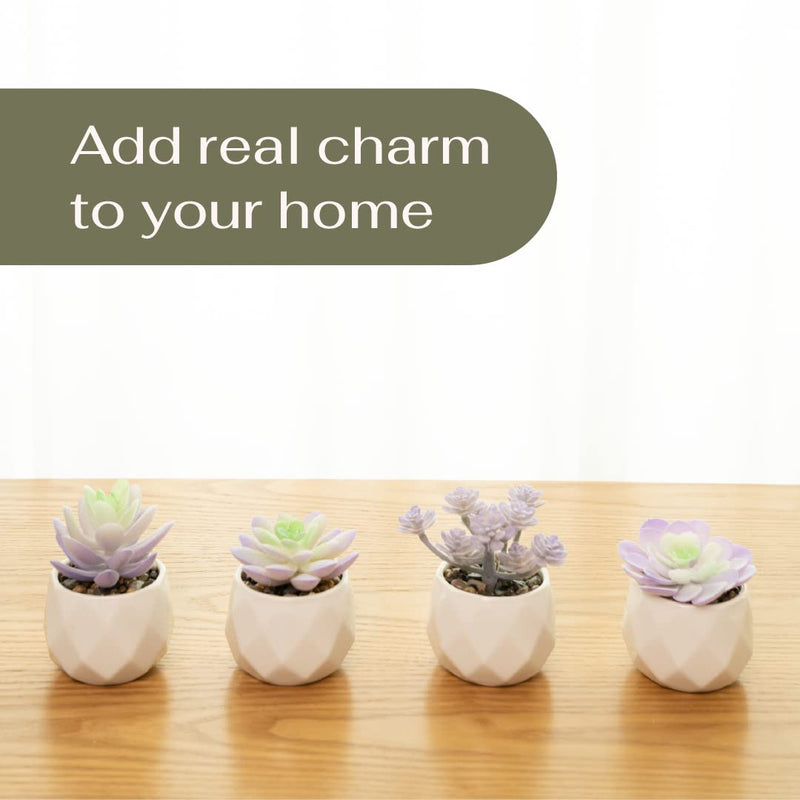 Mini Artificial Purple Succulent Plants in Ceramic Pots Home Decor