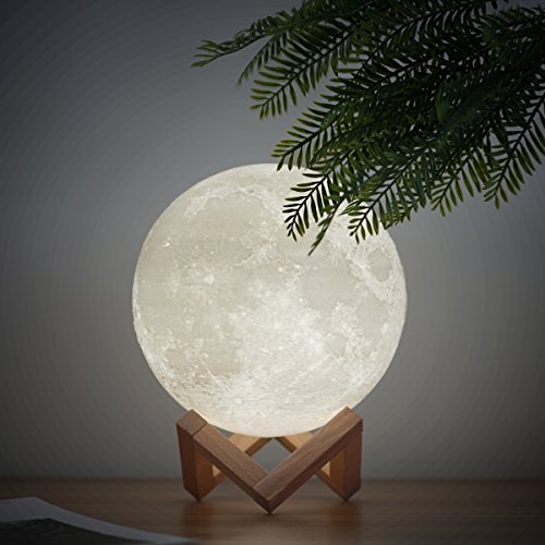 Mydethun 3D Printed Moon Lamp, 7.1 inch  White & Yellow