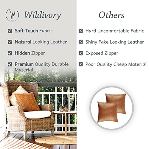 WILDIVORY 2 Pack Faux Leather 18x18 inch Throw Pillow Cover