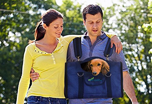 Natuvalle 6 in 1 Sturdy Pet Carrier Backpack Front Pets 18 to 21 Long