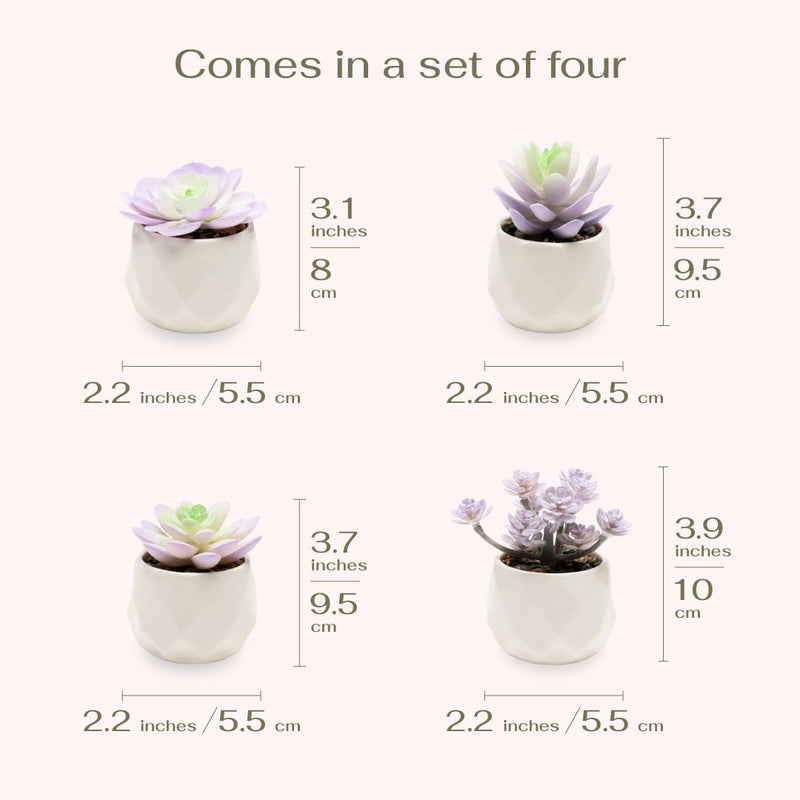 Mini Artificial Purple Succulent Plants in Ceramic Pots Home Decor