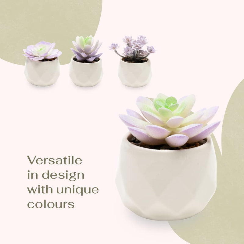 Mini Artificial Purple Succulent Plants in Ceramic Pots Home Decor