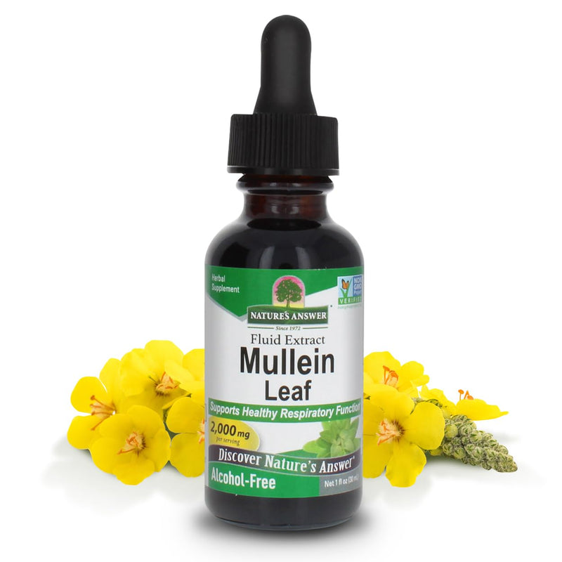 Alcohol-Free Mullein Leaf Extract for Respiratory Health 1oz