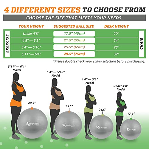 SmarterLife Workout Exercise Ball for Fitness Yoga Balance Yoga Ball 45 cm Silver