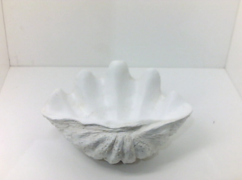 Huey House Small Clam Shell Sculpture