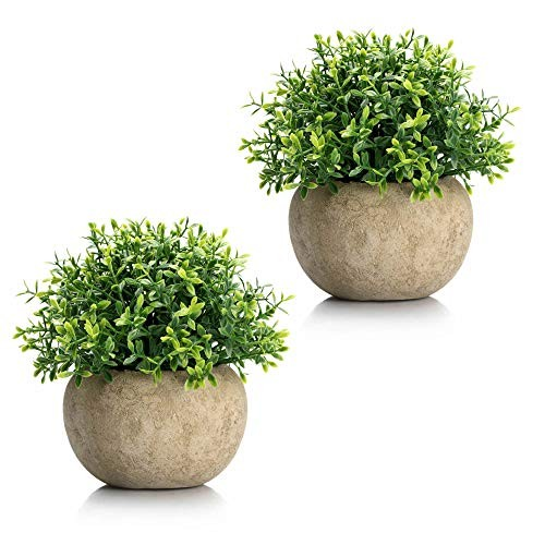 Small Artificial Potted Plants Benn Grass (Set of 2), Home & Office Decor