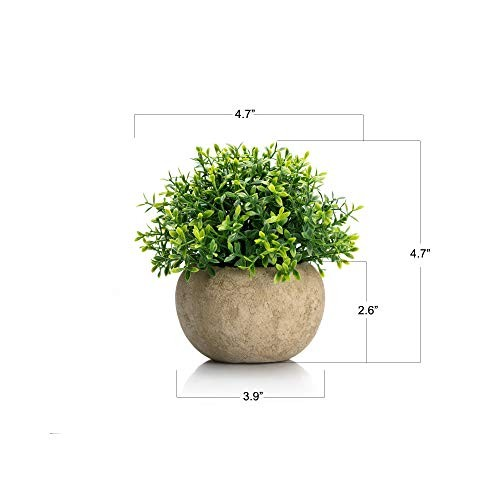 Small Artificial Potted Plants Benn Grass (Set of 2), Home & Office Decor