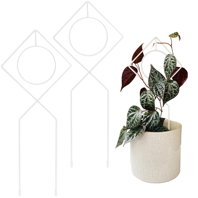 White Metal Plant Support Stake for Indoor Plants - 17" x 7"