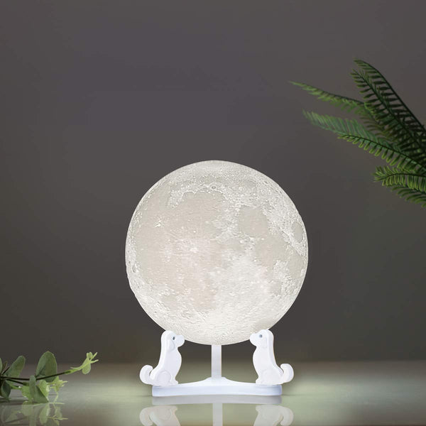 Mydethun Moon Lamp 5.9 Inch 3D Printed Lunar Lamp Moon Light White & Yellow