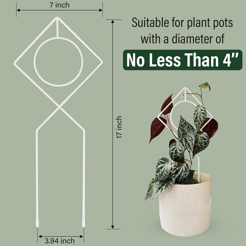 White Metal Plant Support Stake for Indoor Plants - 17" x 7"