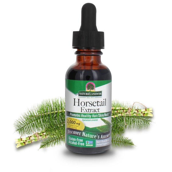 Horsetail Herb Extract Supplement for Hair and Nail Health 1 Fl Oz