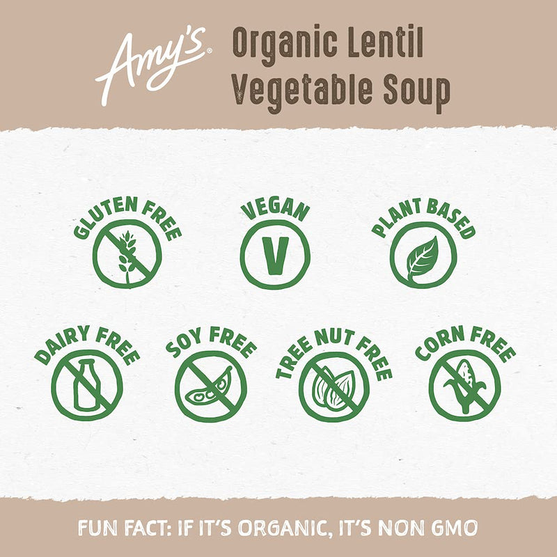 Amy's Lentil Vegetable Organic Vegan Soup 14.5 oz